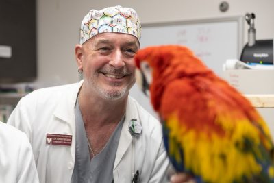 Mark Freeman examining Sydney the Scarlet Macaw in an exam room at the Veterinary Teaching Hospital