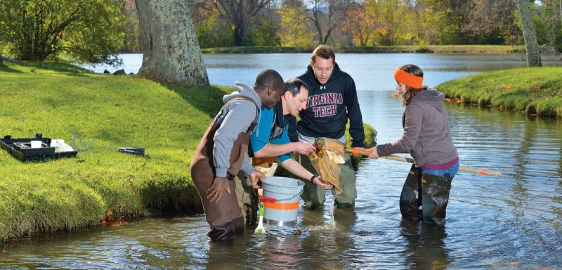 Students and a professor performing an experiment in the water at the Duck Pond